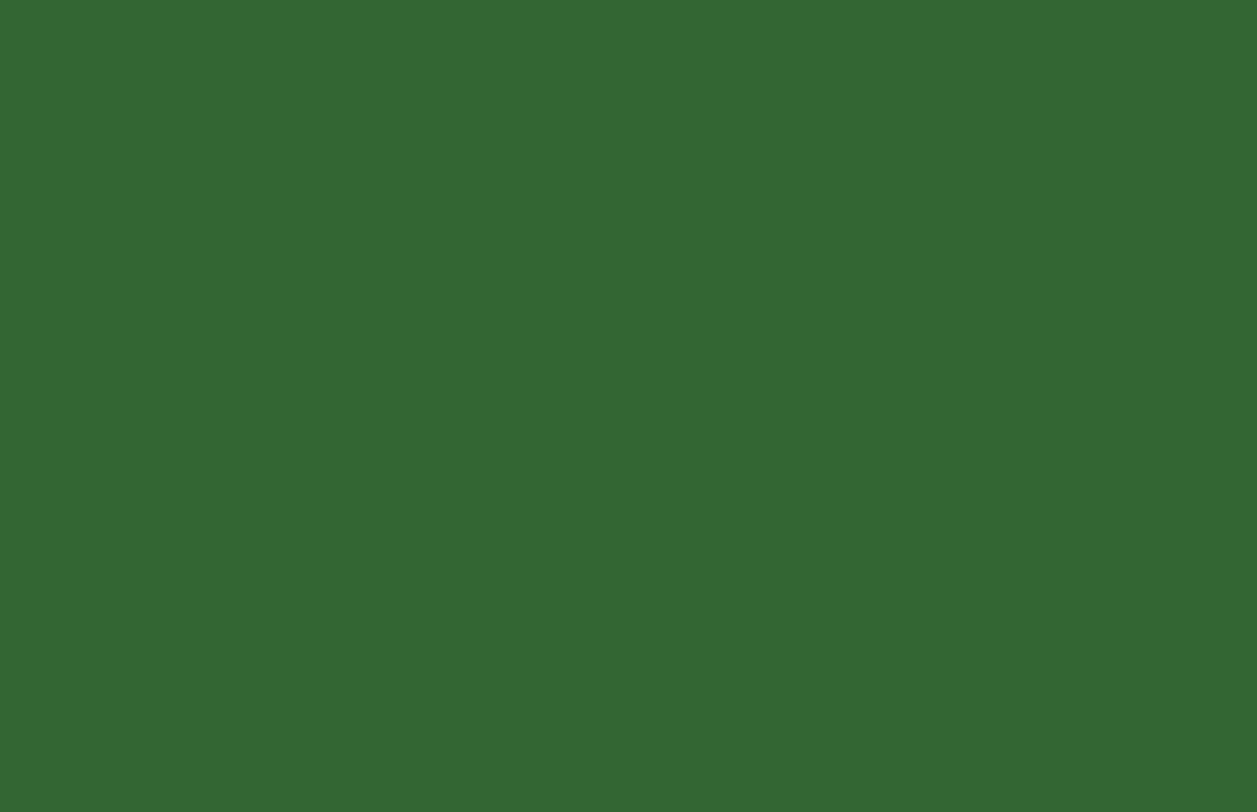 frontImage
